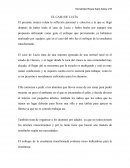 EL CASO DE LUCÍA