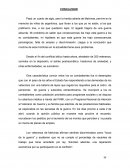 Islas malvinas CONCLUSION