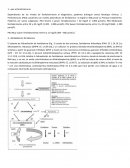 Guia bioquimica FES ZARAGOZA