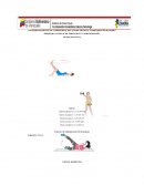 UN PROGRAMA NACIONAL DE FORMACION EN ADMINISTRACIÓN