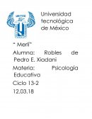 Alumna: Robles de Pedro E. Xiadani