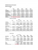 La nueva Viabilidad financiera del proyecto