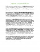 CADENA DE VALOR DE MERCEDES-BENZ.