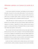 Alteraciones químicas en el proceso de cocción de la carne