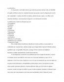 La politica en la sociedad. ENSAYO