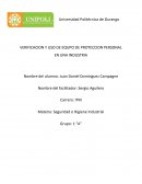 VERIFICACION Y USO DE EQUPO DE PROTECCION PERSONAL EN UNA INDUSTRIA