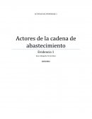 Cuales son los Actores de la cadena de abastecimiento