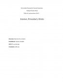 La discriminacion- Internet, Privacidad y Olvido