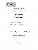 Algebra lineal Ejercicios determinantes