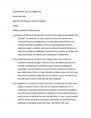 A que se deben las Garantías Constitucionales