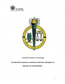 Los derechos humanos y menores en territorio extranjero en situación de vulnerabilidad