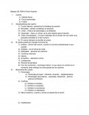 Ficción literaria –predomina la fortaleza de escritor