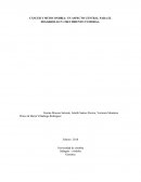 CÁNCER Y MITOCONDRIA: UN ASPECTO CENTRAL PARA EL DESARROLLO Y CRECIMIENTO TUMORAL.