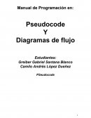 Pseudocode Y Diagramas de flujo