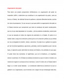 Organizacion del Poder