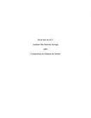 Unidad1 ¿Qué información se busca medir en la empresa escogida?