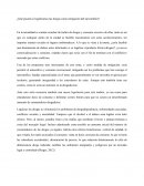 ¿Qué pasaría si legalizamos las drogas como mitigación del narcotráfico?