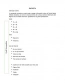 Proyecto de investigacion Social Media (Redes Sociales),