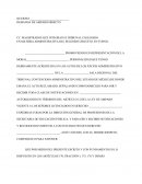 Amparo directo modelo