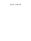 Gusano informatico Forma en que se presenta regularmente.