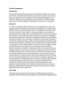 Cultura Introducción