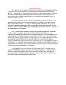 REFLEXION VIDEO Un emprendedor de social