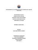 UN NEUVO RECONOCIMIENTO DE LAS BIOMOLECULAS EN LOS SERES VIVOS: ANÁLISIS CUALITATIVO