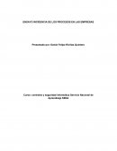 ENSAYO INCIDENCIA DE LOS PROCESOS EN LAS EMPRESAS