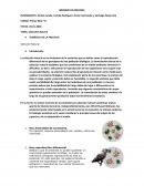 Contradicciones y Ambiguedades INFORME DE BIOLOGÍA