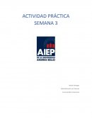 APALANCAMIENTO FINANCIERO ACTIVIDAD PRÁCTICA SEMANA 3