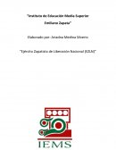 Causas de la Revolución Zapatista