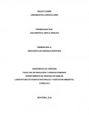 ENSAYO SOBRE LINEAMIENTOS CURRICULARES