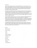Como identificar ADN