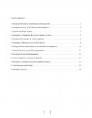 Circuitos Magnéticos 1. Descripción del origen y descubrimiento del magnetismo