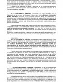 GUERRERO Y RUIZ PENSION VIUDEZ