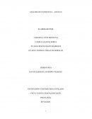 Análisis de una conversación ANÁLISIS DE ENTREVISTA – ANEXO C