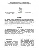 RECONOCIMIENTO Y MANEJO DEL MICROSCOPIO