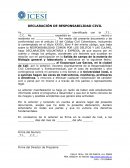 Declaracion responsbailidad civil
