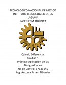 Como se da el Calculo diferencial Práctica de Desigualdades