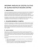 INFORME ANÁLISIS DE COSTOS CULTIVO DE QUINUA BOYACÁ REGIÓN CENTRO