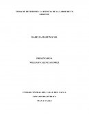 TOMA DE DECISIONES: LA ESENCIA DE LA LABOR DE UN GERENTE