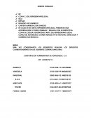 DEBERES FORMALES CORPORACION ALIMENTARIA DE PORTUGUESA, C.A.