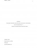 Evaluacion psicologica. Rol Playing