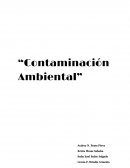 Contaminación ambiental. Respirar aire limpio