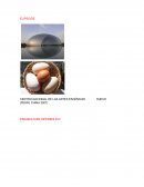 TRABAJO DE CALCULO. PARABOLOIDE HIPERBOLICO