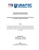 Implementación y desarrollo de los techos verdes para recreación universitaria