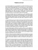 Ensayo y análisis de tribunal en fuga