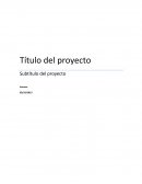 Formato para proyecto de inversion