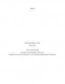 Programa de Ciencias de la Información y la Documentación Bibliotecología y Archivística