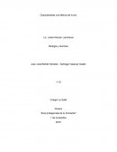 Trabajo de campo “Eres protagonista de tu formación”